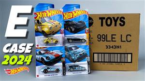 Hot Wheels Regular 2024 72'li Koli E Case