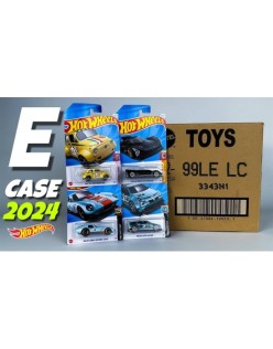 Hot Wheels Regular 2024 72'li Koli E Case
