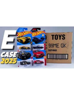 hot wheels regular 2025 e case