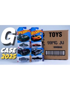 hot wheels regular 2025 g case