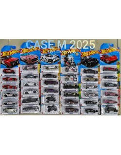 hot wheels regular 2025 m case